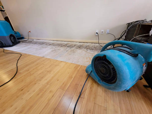 Professional Water Removal technician working in Palm Beach, FL
